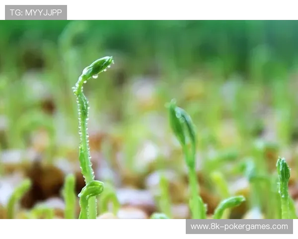云导播系统能耗降低，符合行业绿色制作倡议要求